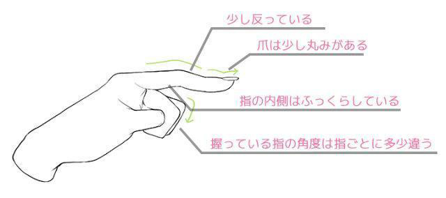 手指，指甲和關(guān)節(jié)的畫法.jpg