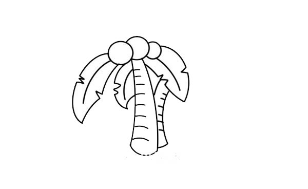 椰子樹(shù)簡(jiǎn)筆畫(huà)步驟教程 椰子樹(shù)簡(jiǎn)筆畫(huà)畫(huà)法步驟圖片