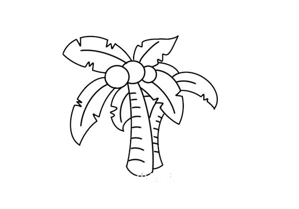 椰子樹(shù)簡(jiǎn)筆畫(huà)步驟教程 椰子樹(shù)簡(jiǎn)筆畫(huà)畫(huà)法步驟圖片