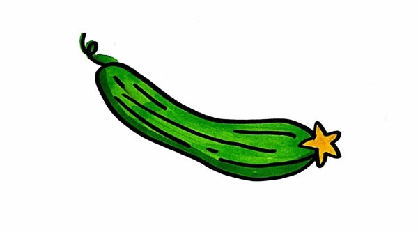 絲瓜簡(jiǎn)筆畫 絲瓜簡(jiǎn)筆畫的簡(jiǎn)單畫法_絲瓜怎么畫簡(jiǎn)筆畫步驟圖片