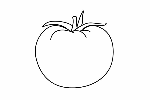 西紅柿簡(jiǎn)筆畫 西紅柿簡(jiǎn)筆畫畫法步驟圖片