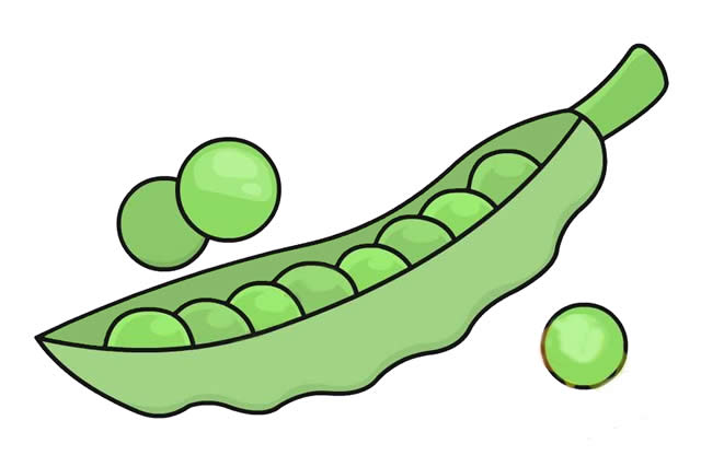 豌豆簡(jiǎn)筆畫 豌豆簡(jiǎn)筆畫