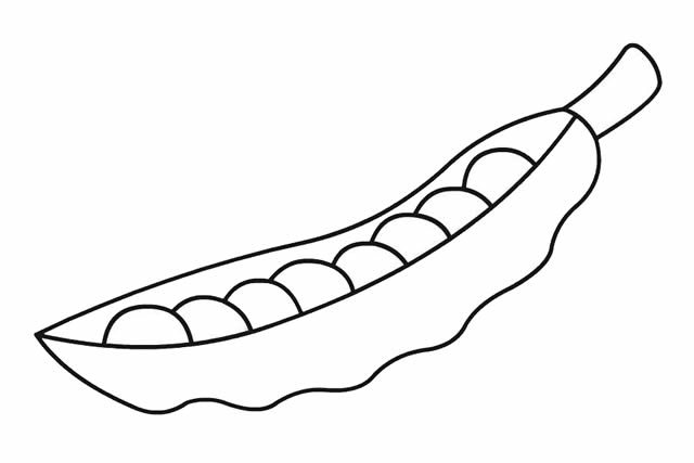 豌豆簡(jiǎn)筆畫 豌豆簡(jiǎn)筆畫
