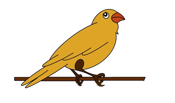 鳥(niǎo)簡(jiǎn)筆畫(huà)