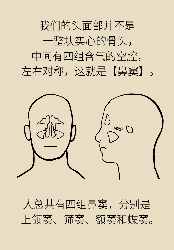 為什么鼻竇發(fā)炎，疼的卻是頭、眼和牙？