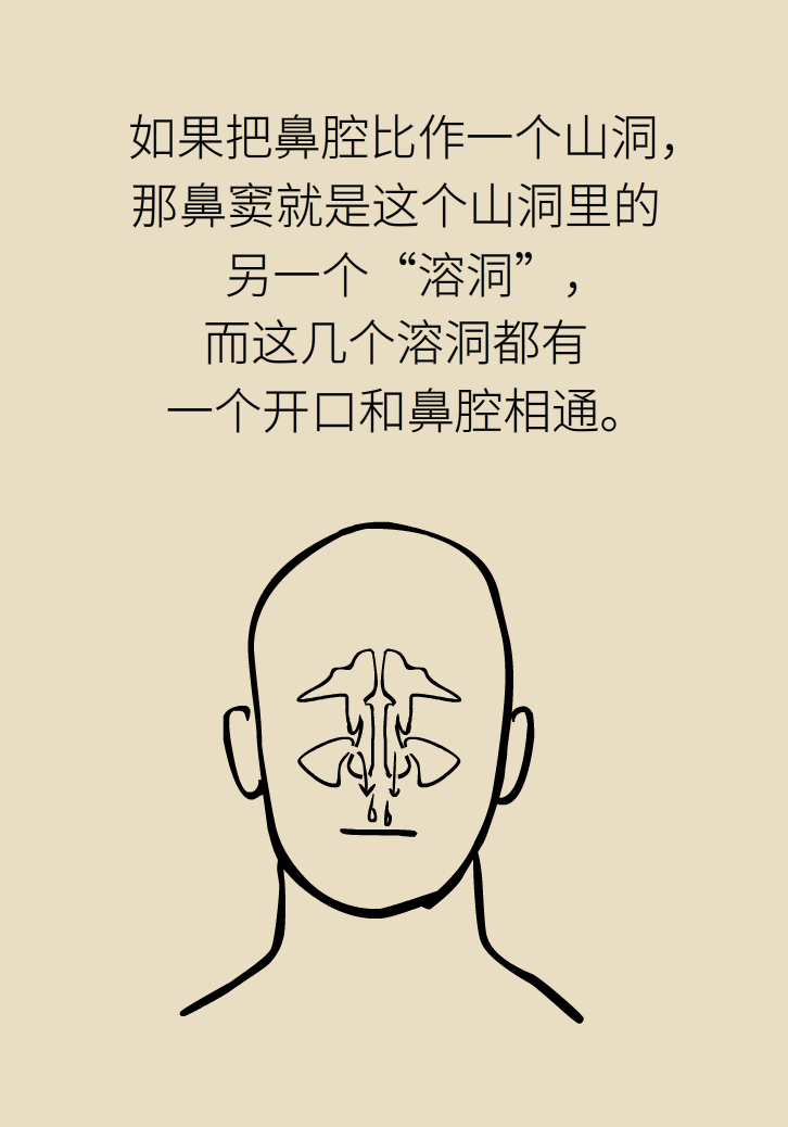 為什么鼻竇發(fā)炎，疼的卻是頭、眼和牙？
