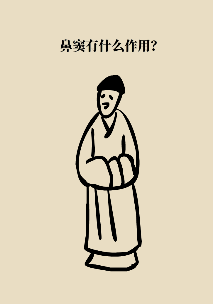 為什么鼻竇發(fā)炎，疼的卻是頭、眼和牙？