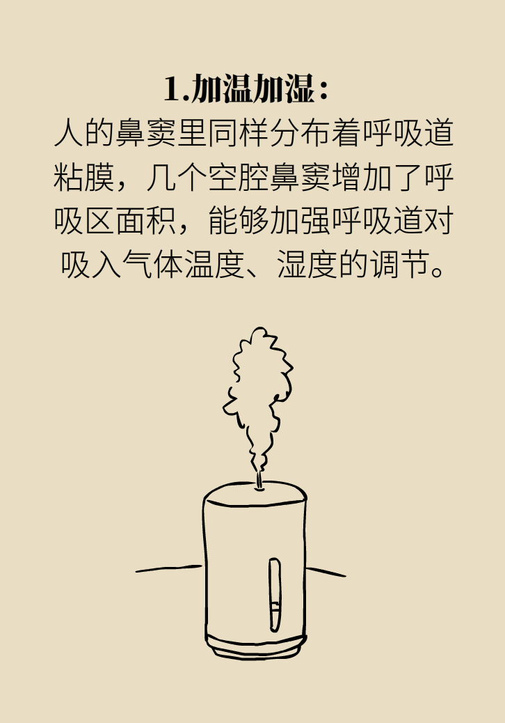 為什么鼻竇發(fā)炎，疼的卻是頭、眼和牙？