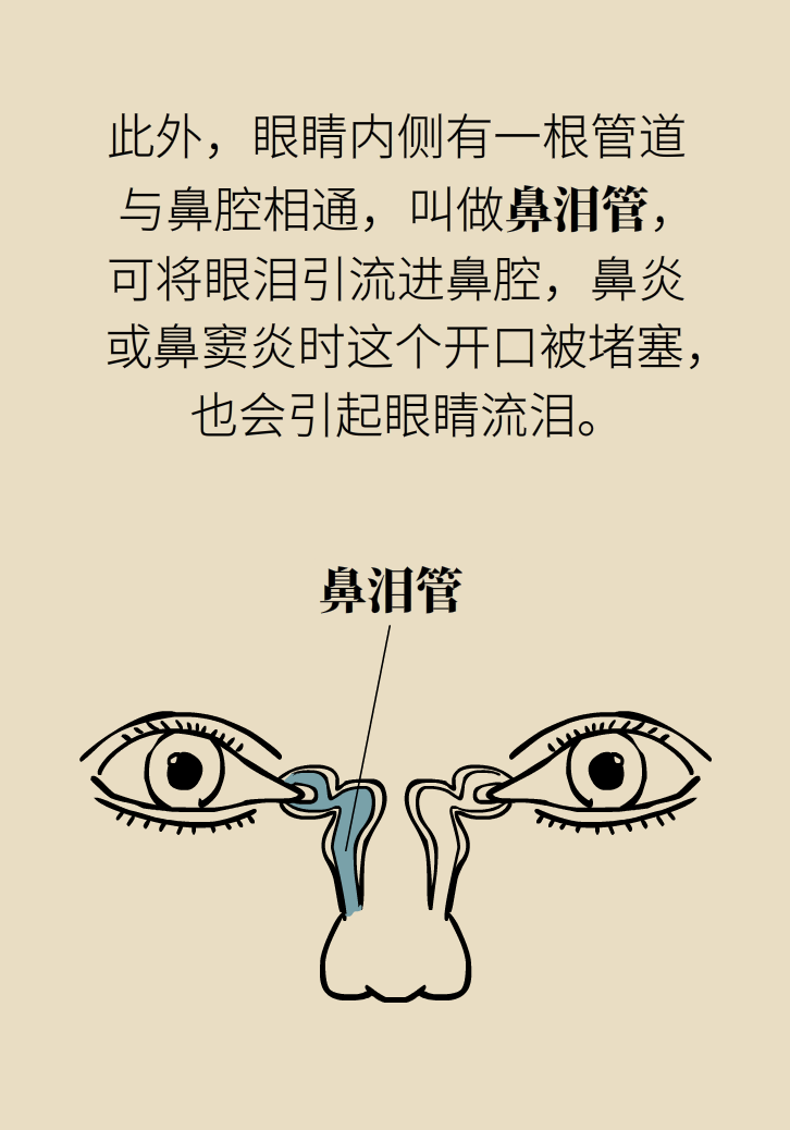 為什么鼻竇發(fā)炎，疼的卻是頭、眼和牙？