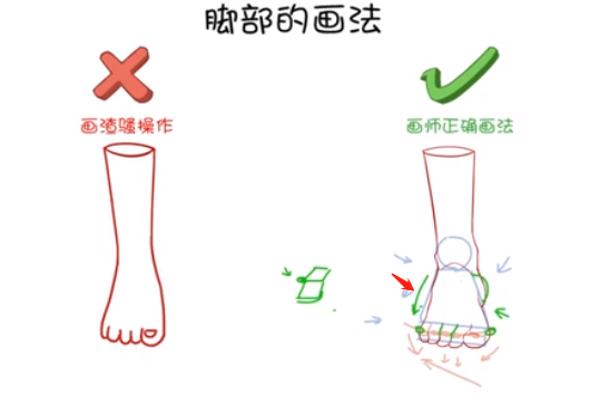 腳掌對腳后跟有一個遮擋的關(guān)系，所以在畫正面腳的時候，一定要注意.png