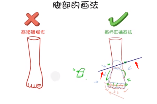 在腳腕的地方，畫出一些凸出來的踝關(guān)節(jié)，一定要記住里面的踝關(guān)節(jié)會比外面的踝關(guān)節(jié)要高，能形成一個傾斜的坡度。.png