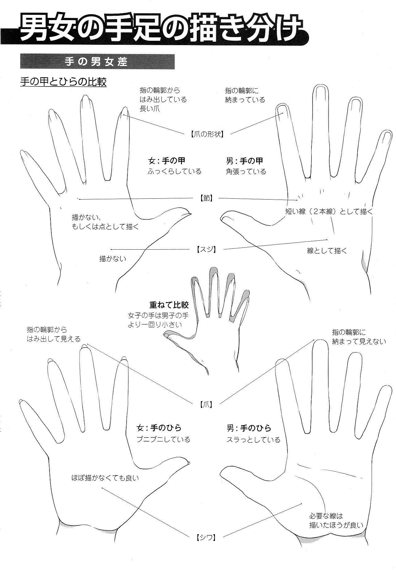 男女比例的差別怎么畫？