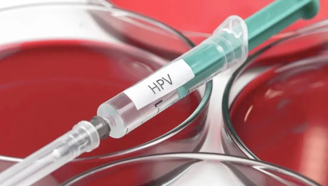 HPV疫苗科普 ：不是預(yù)防宮頸癌的嗎，怎么男孩也要打？