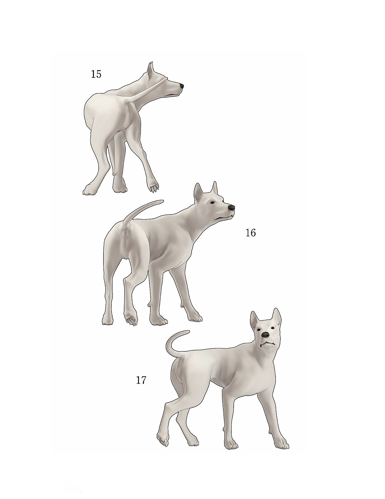 貓?jiān)趺串?，狗狗怎么畫？貓、犬の繪畫方法