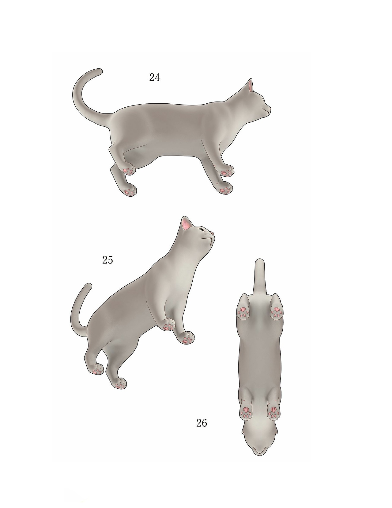 貓?jiān)趺串?，狗狗怎么畫？貓、犬の繪畫方法