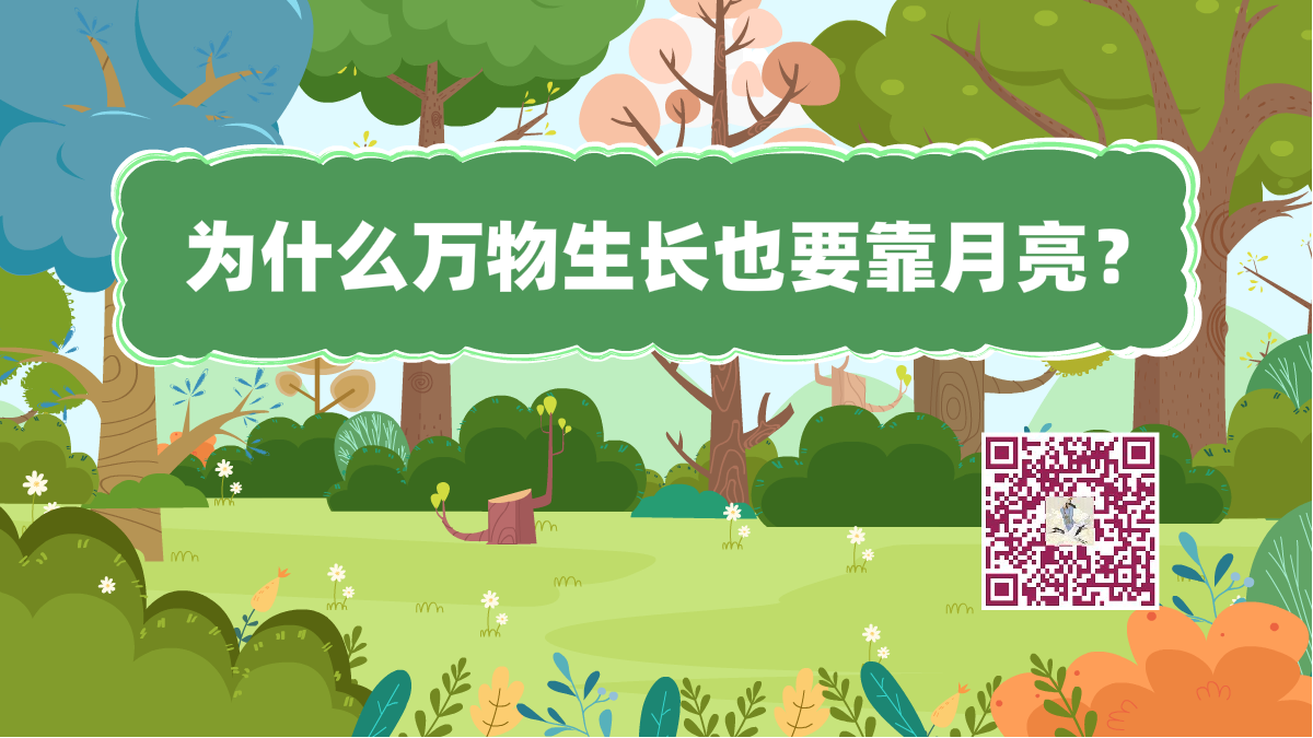 十萬(wàn)個(gè)為什么標(biāo)題(月亮萬(wàn)物)1200.png 十萬(wàn)個(gè)為什么標(biāo)題(月亮萬(wàn)物)1200.png