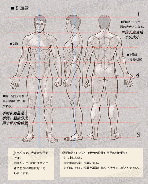 零基礎(chǔ)學(xué)繪畫教程！如何正確掌握繪畫人體結(jié)構(gòu)？
