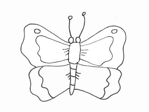 蝴蝶簡(jiǎn)筆畫圖片