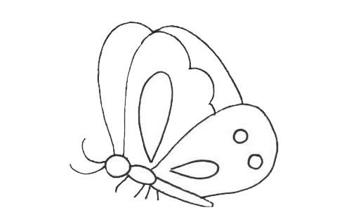 蝴蝶簡(jiǎn)筆畫圖片