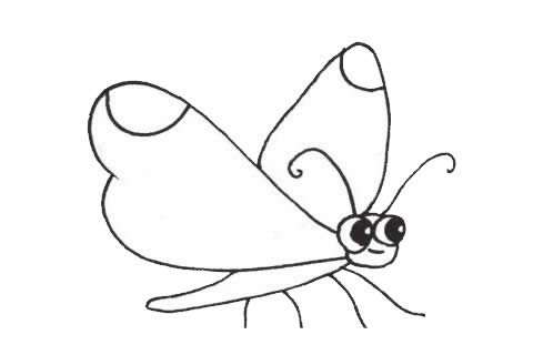 蝴蝶簡(jiǎn)筆畫圖片