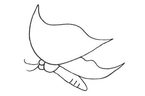 蝴蝶簡(jiǎn)筆畫圖片