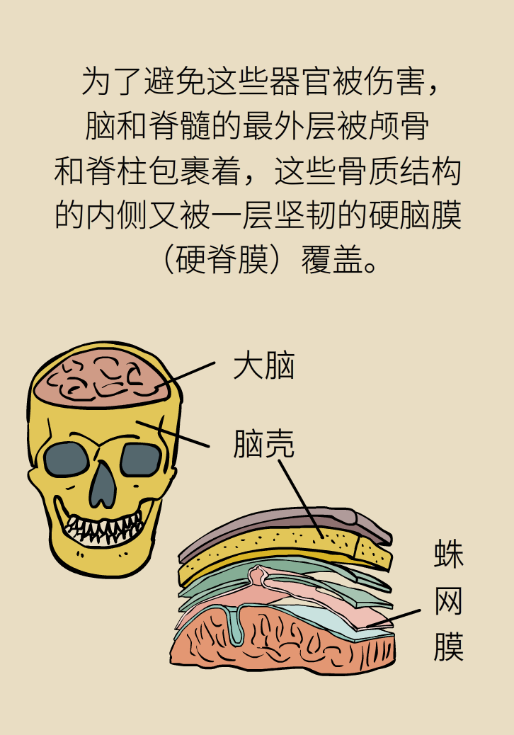 練瑜伽把腦脊液拉漏了！常見的“瑜伽病”你知道多少