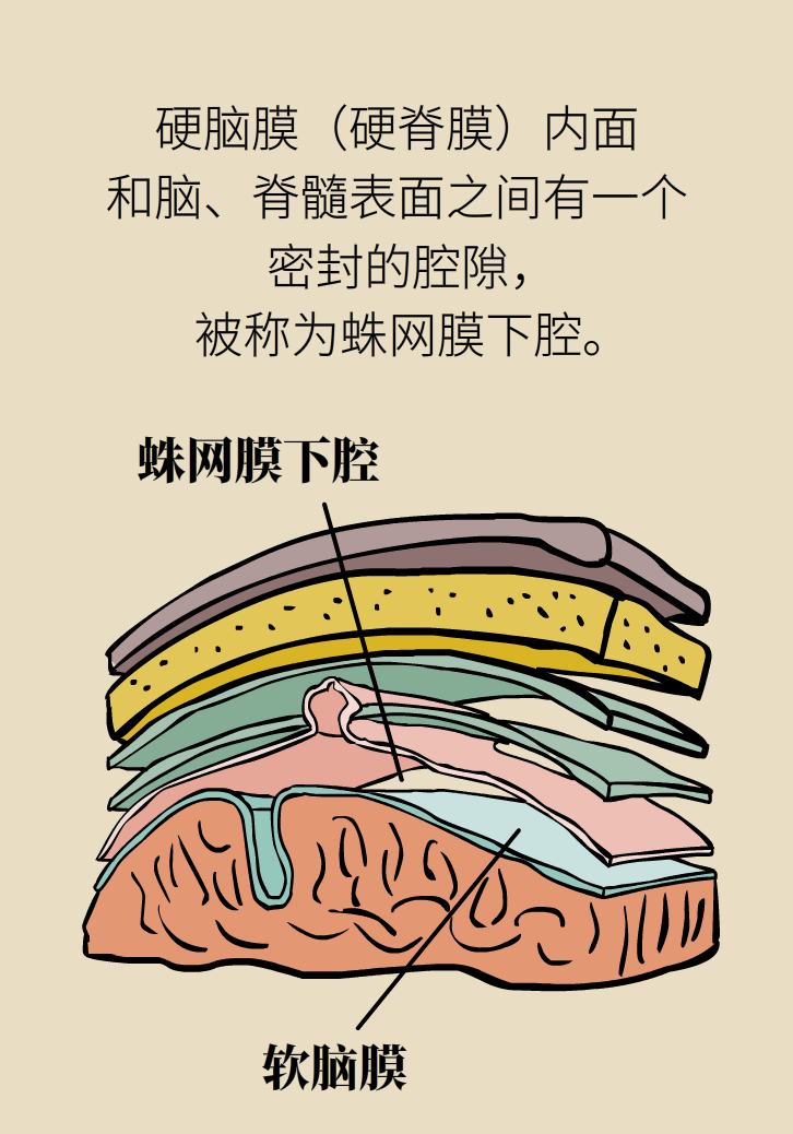 練瑜伽把腦脊液拉漏了！常見的“瑜伽病”你知道多少