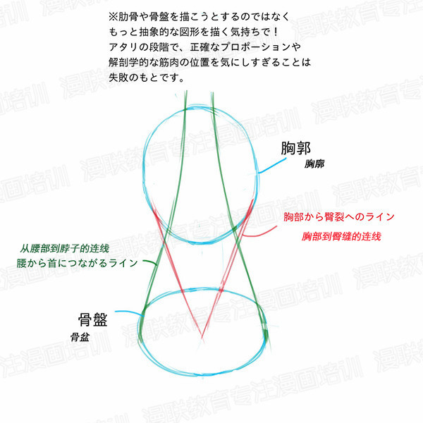 「教程」如何正確掌握人體結(jié)構(gòu) part 01 男女背部的區(qū)別畫法 「教程」如何正確掌握人體結(jié)構(gòu) part 01 男女背部的區(qū)別畫法