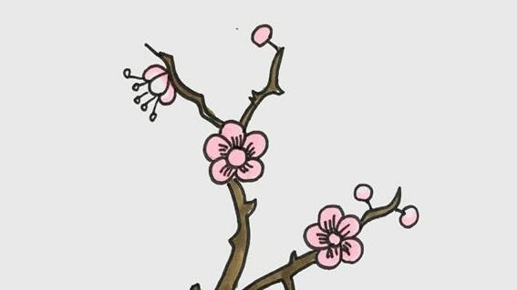 梅花怎么畫？