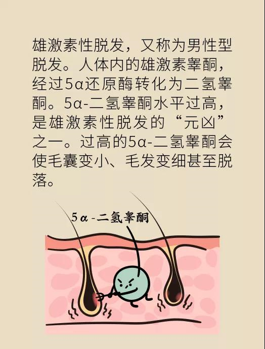 頭發(fā)一把一把地掉？搞明白根源才能對癥下藥