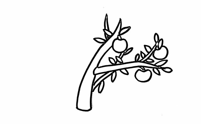 蘋(píng)果樹(shù)簡(jiǎn)筆畫(huà)彩色畫(huà)法步驟圖片