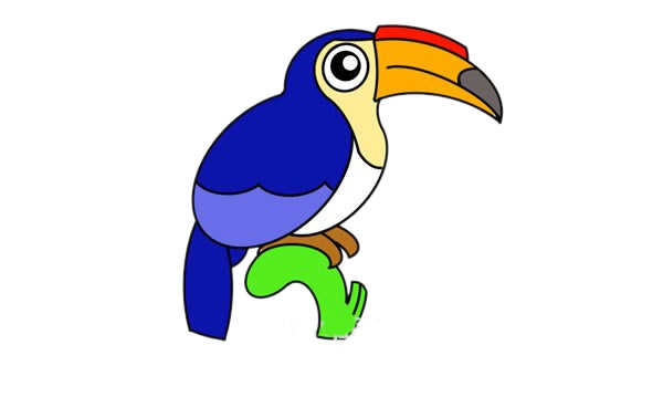 犀鳥怎么畫？