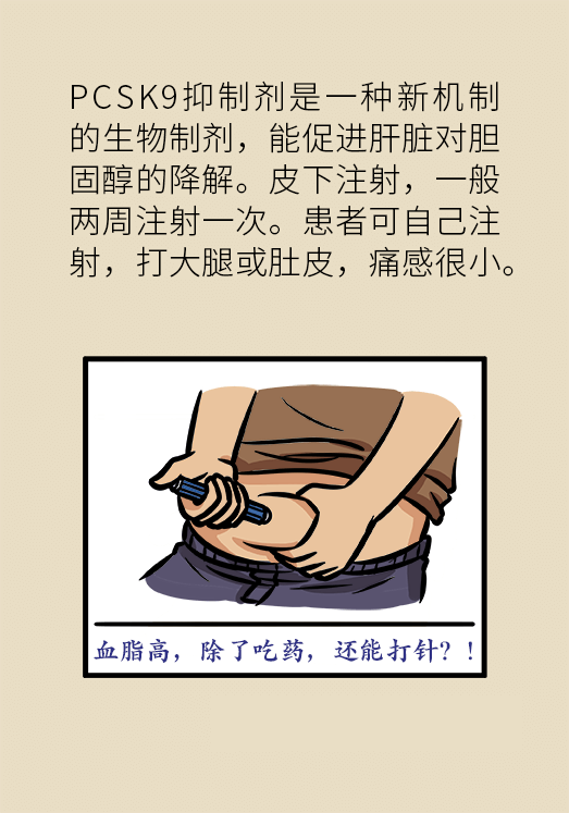 心梗動漫科普：血脂都正常就萬事大吉了嗎？