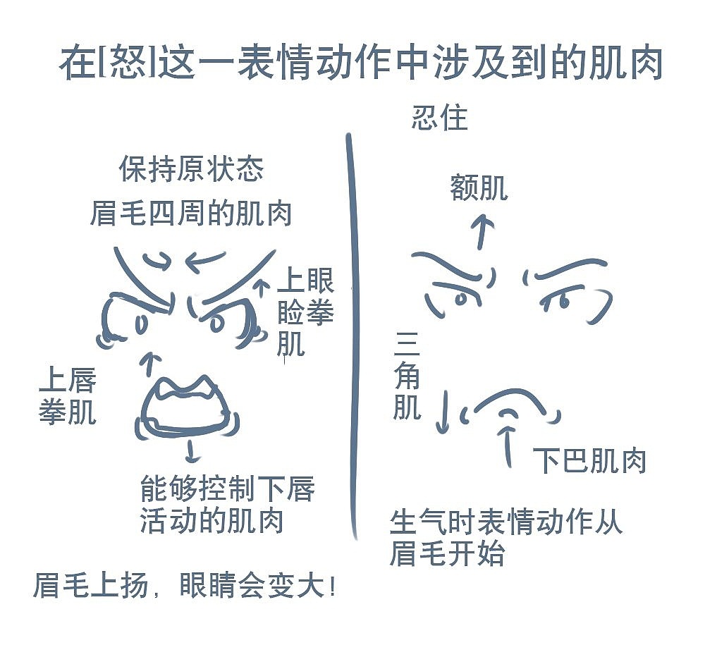 「動(dòng)漫設(shè)計(jì)」人物表情大集合之【怒】發(fā)沖冠 「動(dòng)漫設(shè)計(jì)」人物表情大集合之【怒】發(fā)沖冠