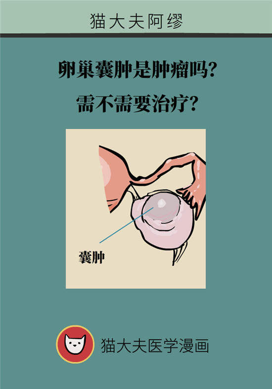 卵巢囊腫科普動(dòng)漫：卵巢囊腫是腫瘤嗎？要學(xué)會(huì)這樣區(qū)分