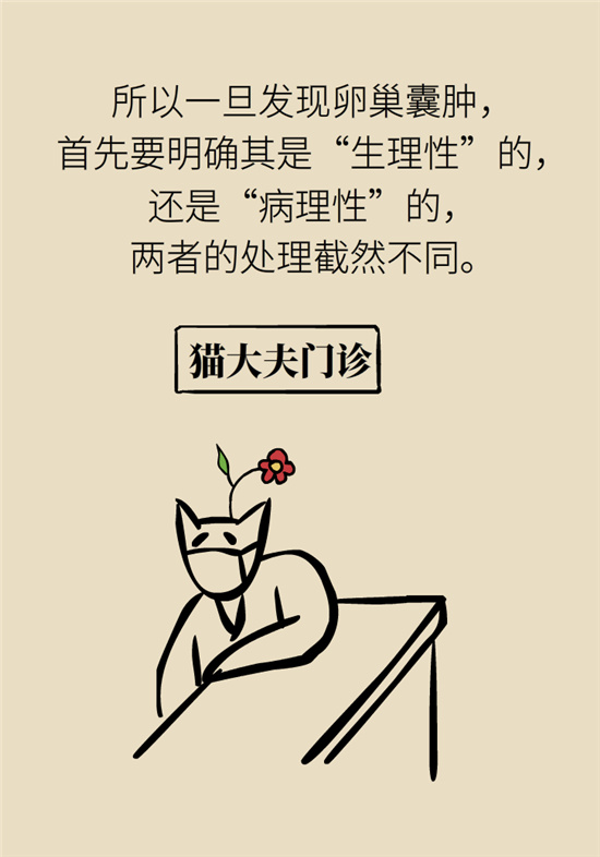 卵巢囊腫科普動(dòng)漫：卵巢囊腫是腫瘤嗎？要學(xué)會(huì)這樣區(qū)分
