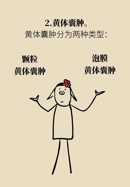 卵巢囊腫科普動(dòng)漫：卵巢囊腫是腫瘤嗎？要學(xué)會(huì)這樣區(qū)分