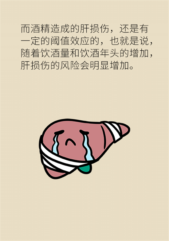 喝酒之后會傷肝？這個因素很重要