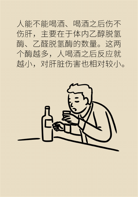 喝酒之后會傷肝？這個因素很重要