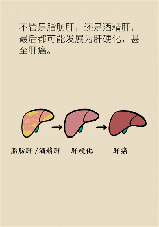 喝酒之后會傷肝？這個因素很重要
