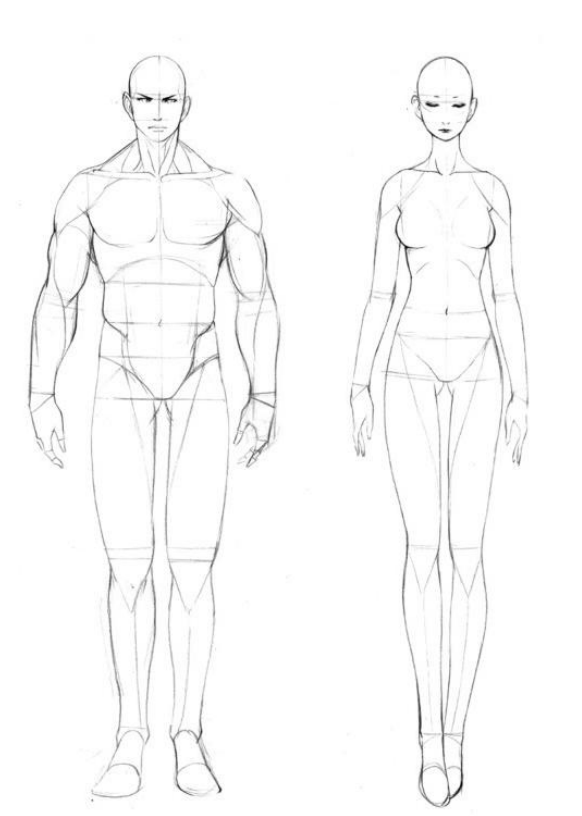 「動(dòng)漫設(shè)計(jì)」人體繪畫基礎(chǔ) part 01 認(rèn)識(shí)骨骼(2) 「動(dòng)漫設(shè)計(jì)」人體繪畫基礎(chǔ) part 01 認(rèn)識(shí)骨骼(2)
