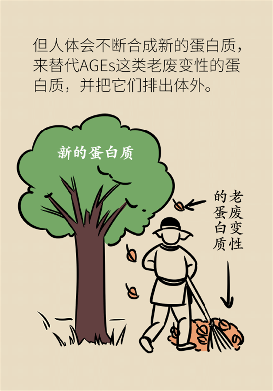 女性若想皮膚好，這些食物要戒掉