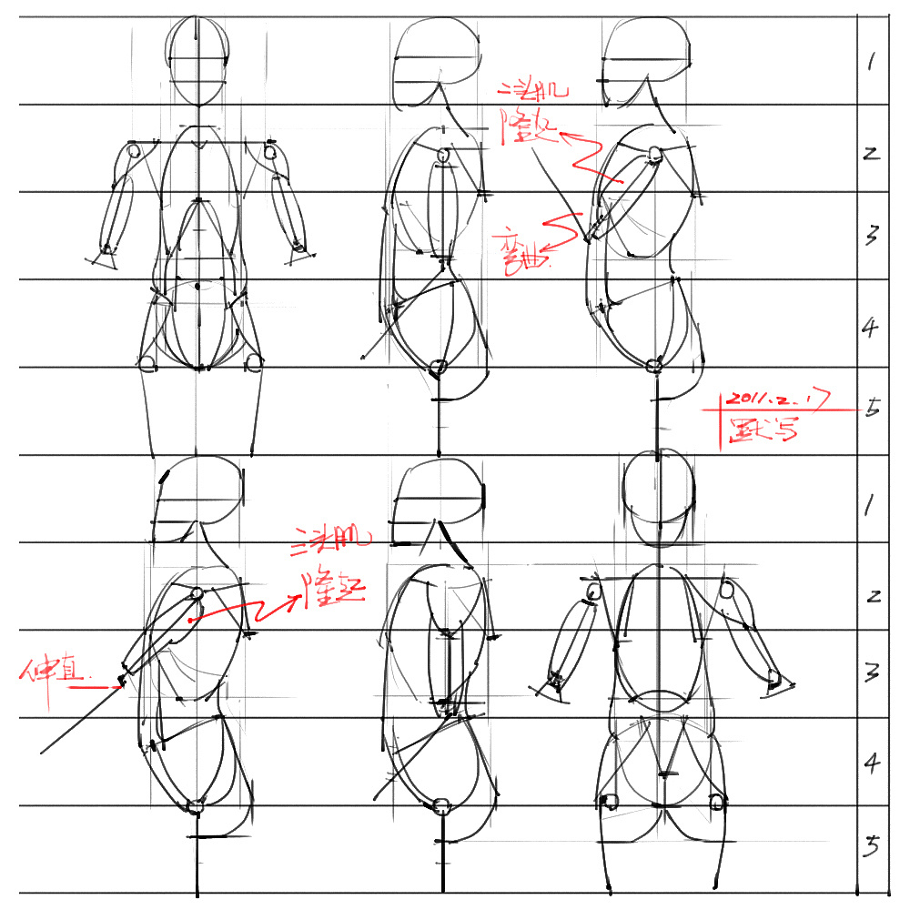 「動漫設計」分享一波繪畫專用人體解剖素材 part 03 「動漫設計」分享一波繪畫專用人體解剖素材 part 03