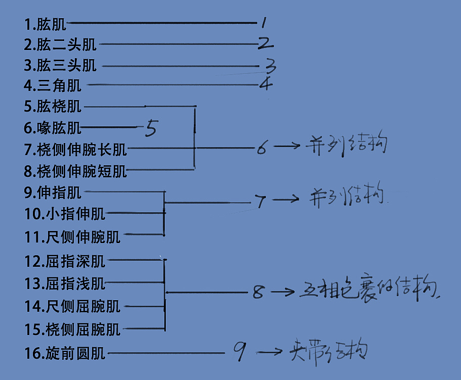 「動(dòng)漫設(shè)計(jì)」分享一波繪畫(huà)專(zhuān)用人體解剖素材 part 07 「動(dòng)漫設(shè)計(jì)」分享一波繪畫(huà)專(zhuān)用人體解剖素材 part 07