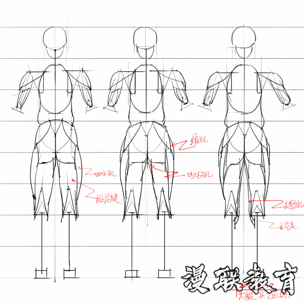 「動漫設計素材」分享一波繪畫專用人體解剖素材 part 08 「動漫設計素材」分享一波繪畫專用人體解剖素材 part 08