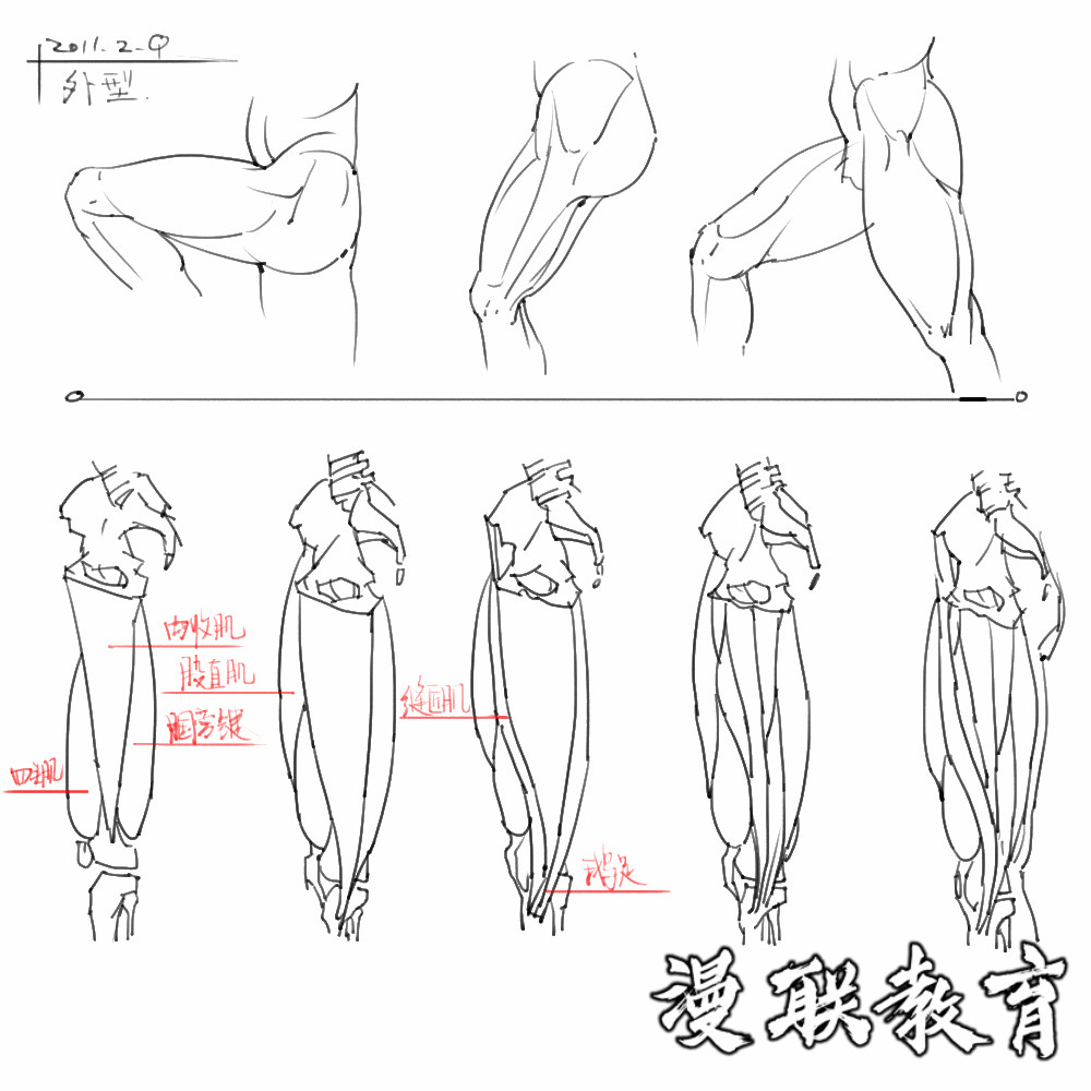 「動漫設計素材」分享一波繪畫專用人體解剖素材 part 08 「動漫設計素材」分享一波繪畫專用人體解剖素材 part 08