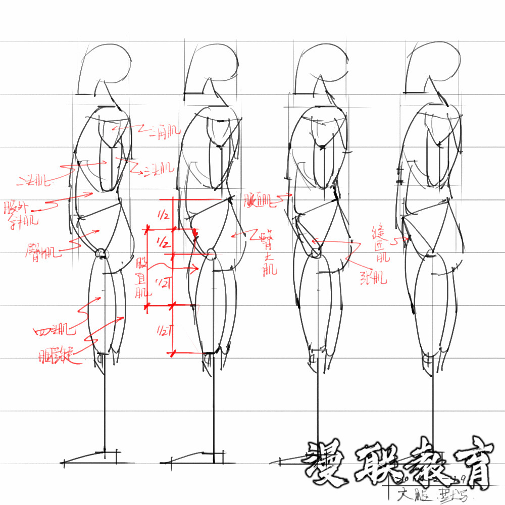 「動漫設計素材」分享一波繪畫專用人體解剖素材 part 08 「動漫設計素材」分享一波繪畫專用人體解剖素材 part 08