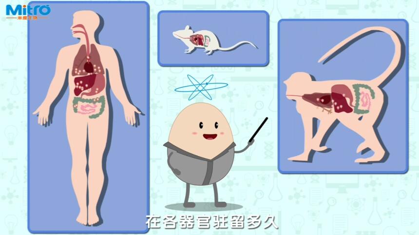 米度實(shí)驗(yàn)室里,我的用量極其微少,放射劑量通常也就是千分之幾居里的級(jí)別.jpg 米度實(shí)驗(yàn)室里,我的用量極其微少,放射劑量通常也就是千分之幾居里的級(jí)別.jpg