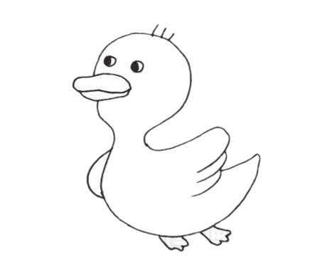 鴨子簡(jiǎn)筆畫(huà)圖片