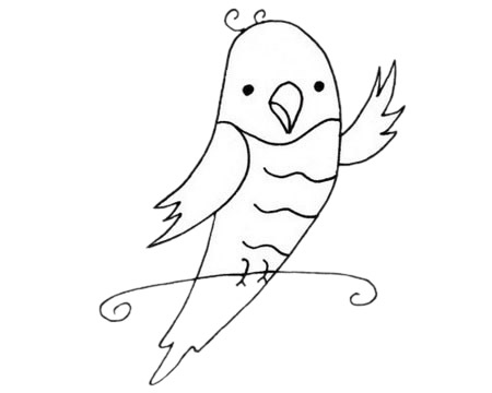 卡通鸚鵡簡筆畫圖片